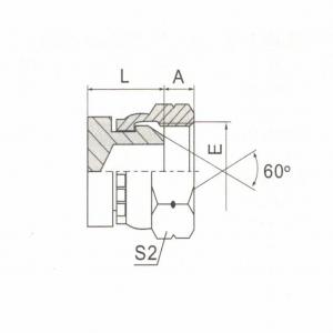 BSP Female 60°  Cone Plug