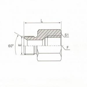 BSP Female Double Use for 60° Seat or Bonded Seat/NPT Female