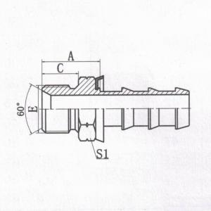 BSP Male 60°  Cone Seat