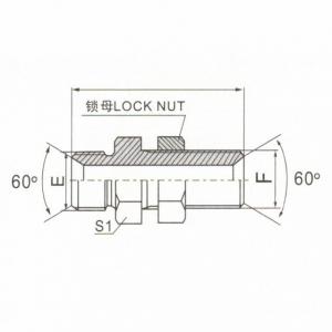 BSP Male 60°  Seat Bulkhead