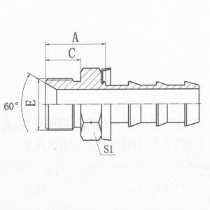 BSP Male 60°Cone Seat