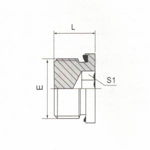 BSP Male Captive Seat Hollow Hex Plug