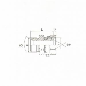 BSP Male Double Use for 60° Seat or Bonded Seal BSP Female 60° Cone