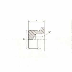 BSP Male Double Use for 60° Seat or Bonded Seat Hollow Hex Plug