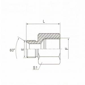 BSP Male Double Use for 60° Seat or Bonded Seat/BSP Female ISO 1179