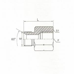 BSP Male Double Use for 60° Seat or Bonded Seat/BSPT Female