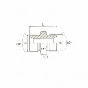 BSP Male Double Use for 60°Seat or Bonded Seal