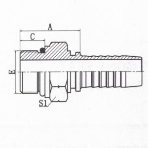 BSP Male O-Ring Seal