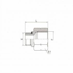 BSP Male O-Ring/BSP Female ISO 1179