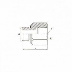 BSP Male O-Ring/NPT Female