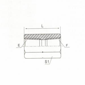 BSPT Female ISO 1179