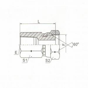 BSPT Female/BSP Female 60° Cone 