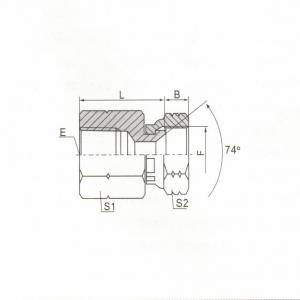 BSPT Female/JIC Female 74°  Seat