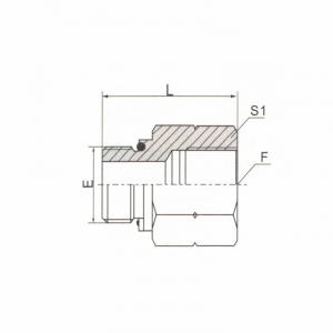 BSPT Male O-Ring/BSPT Female