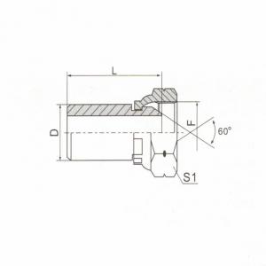 Butt-Weld Tube/BSP Female 60° Cone