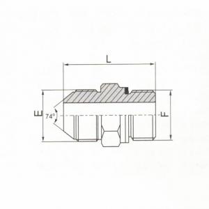 Metric Male 74° Cone/BSP Male O-Ring