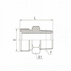 Metric Male O-Ring/Butt-Weld Tube