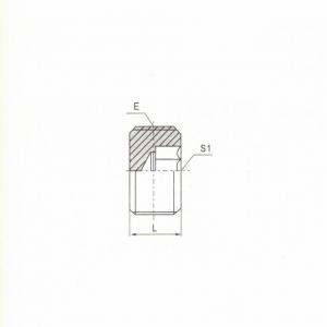 NPT Male Hollow Hex Plug