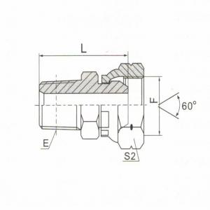 NPT Male/BSP Female 60° Cone