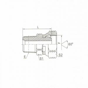 NPT Male/NPSM Female 60° Cone