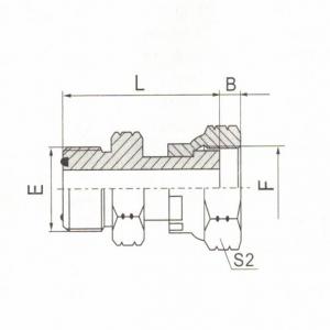 ORFS Male O-Ring/ORFS Female