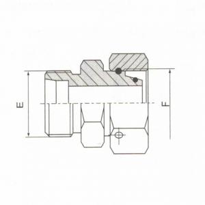 Reducer Tube Adaptor with Swivel Nut